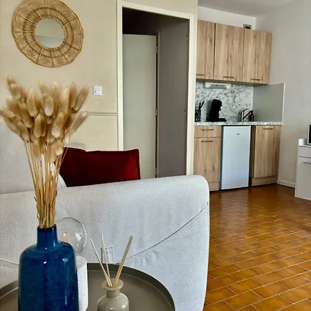 Apartment Climatise En Plein Coeur De